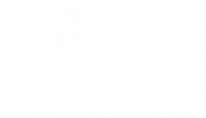 Mink Group - White Logo