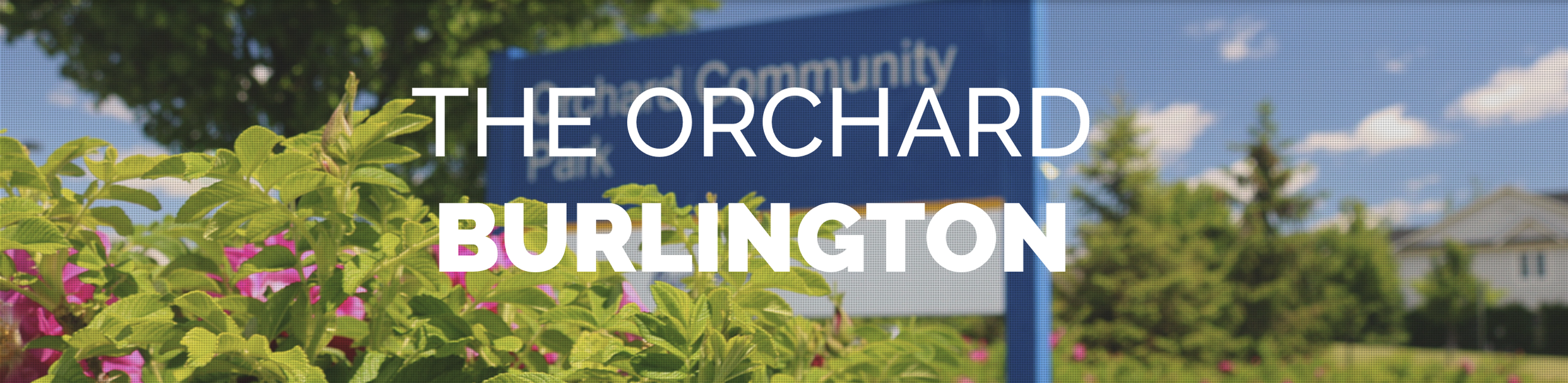 Explore Burlington - The Orchard neighbourhood with The Mink Group real estate.